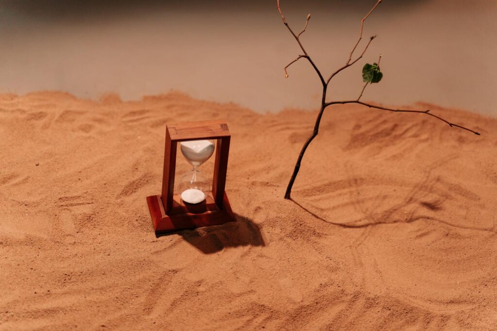 close up shot of an hourglass and a branch on sand